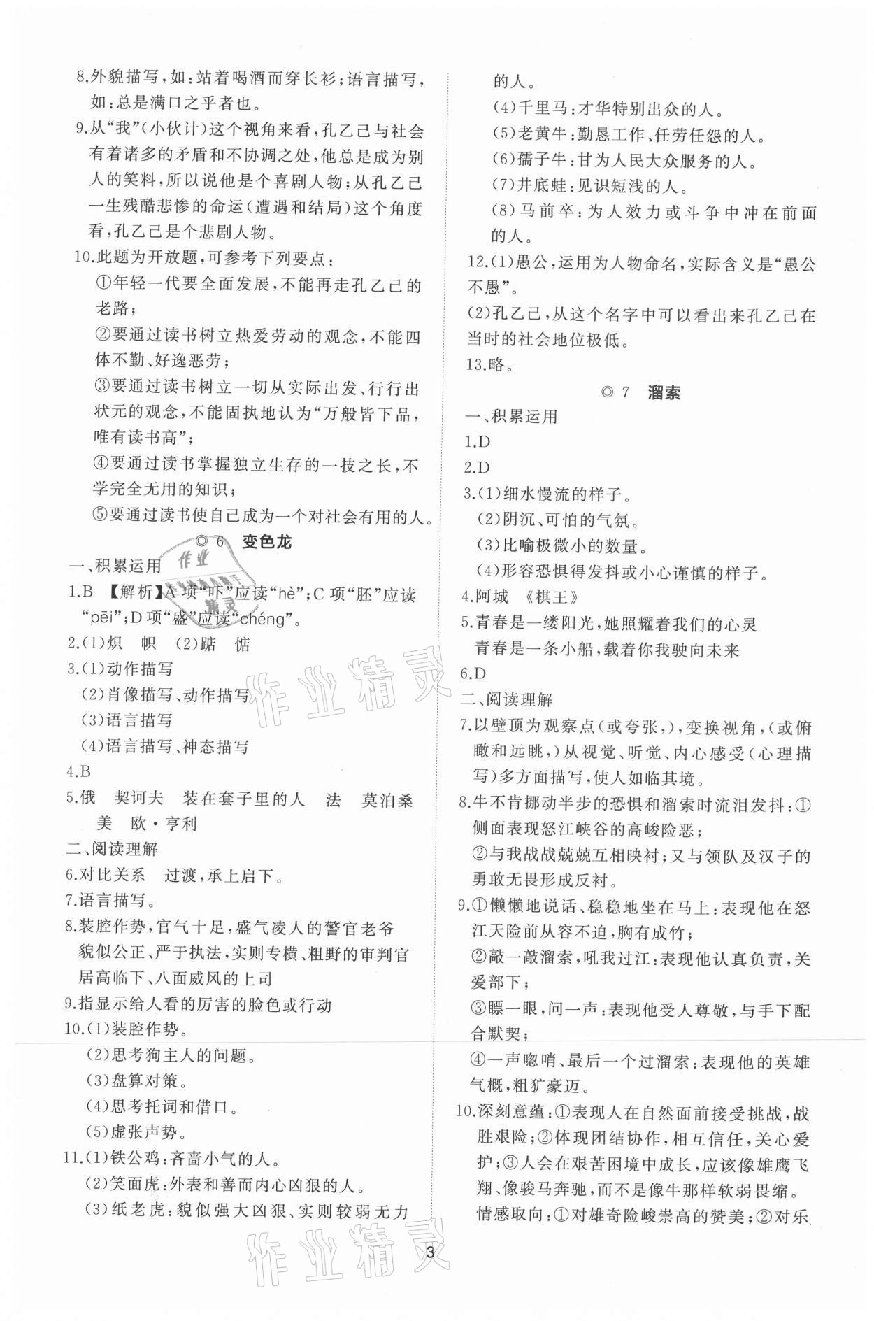 2021年同步練習(xí)冊(cè)提優(yōu)測(cè)試卷九年級(jí)語(yǔ)文下冊(cè)人教版 參考答案第3頁(yè)