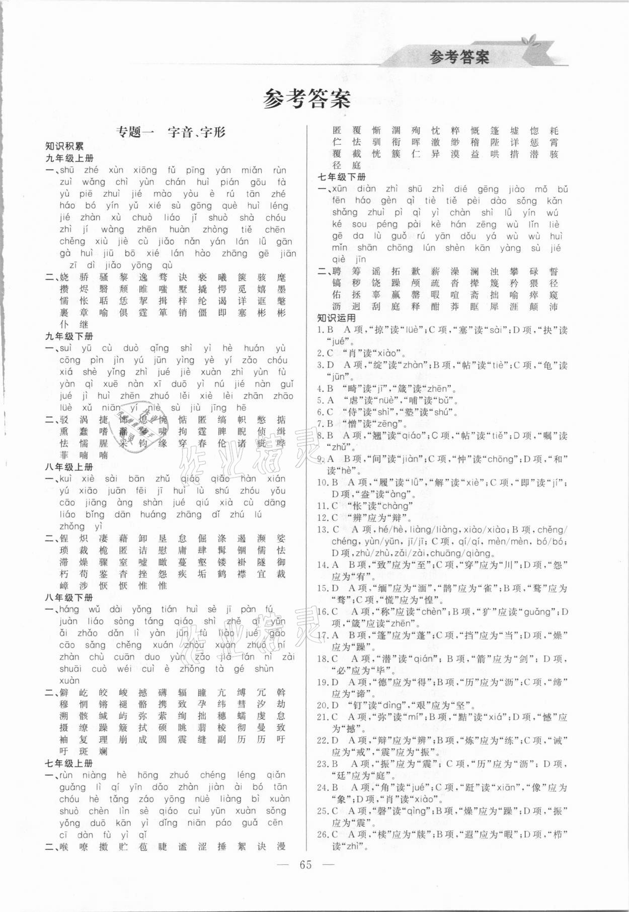 2021年寒假小復習九年級語文人教版山東人民出版社 第1頁