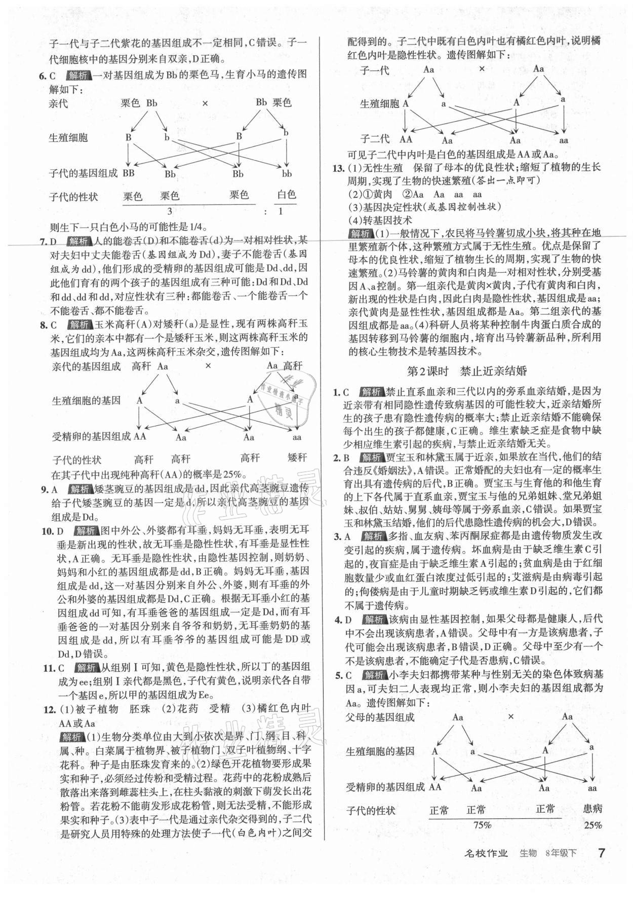 2021年名校作业八年级生物下册人教版山西专版 第7页