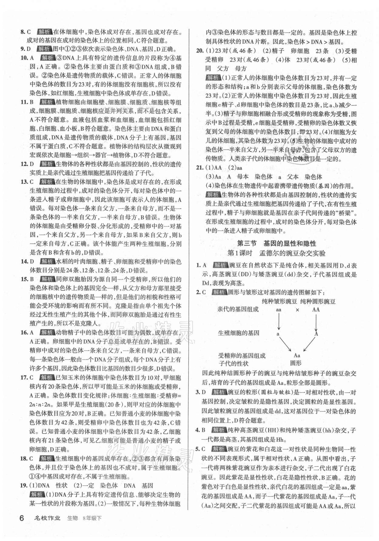 2021年名校作业八年级生物下册人教版山西专版 第6页