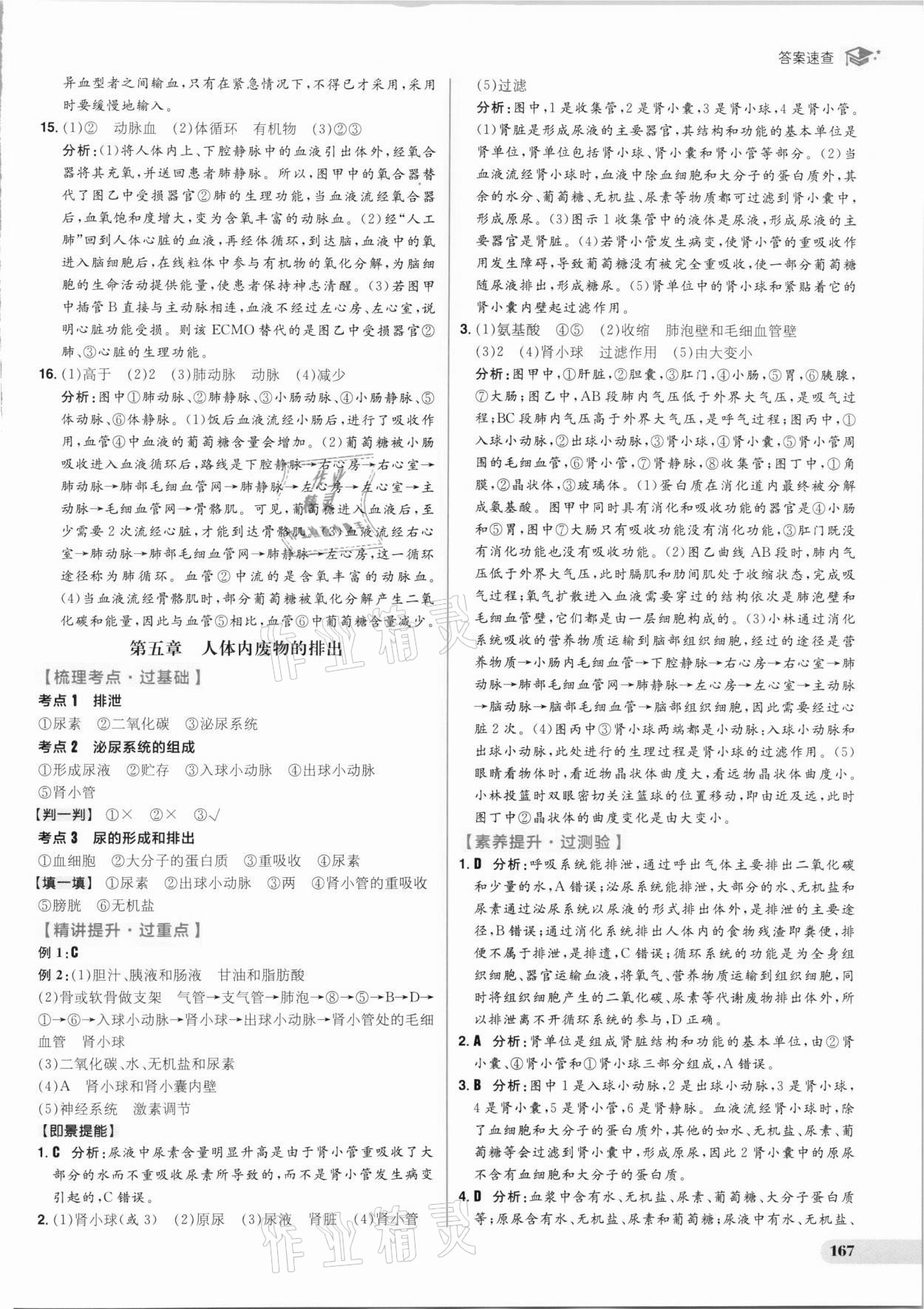 2021年考出好成績中考復(fù)習(xí)方略生物人教版 參考答案第11頁