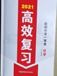 2021年高效复习新疆中考一本全化学