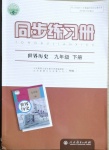 2021年同步練習冊九年級歷史下冊人教版人民教育出版社