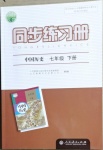 2021年同步練習(xí)冊七年級歷史下冊人教版人民教育出版社