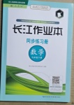 2021年長江作業(yè)本同步練習冊九年級數(shù)學下冊人教版