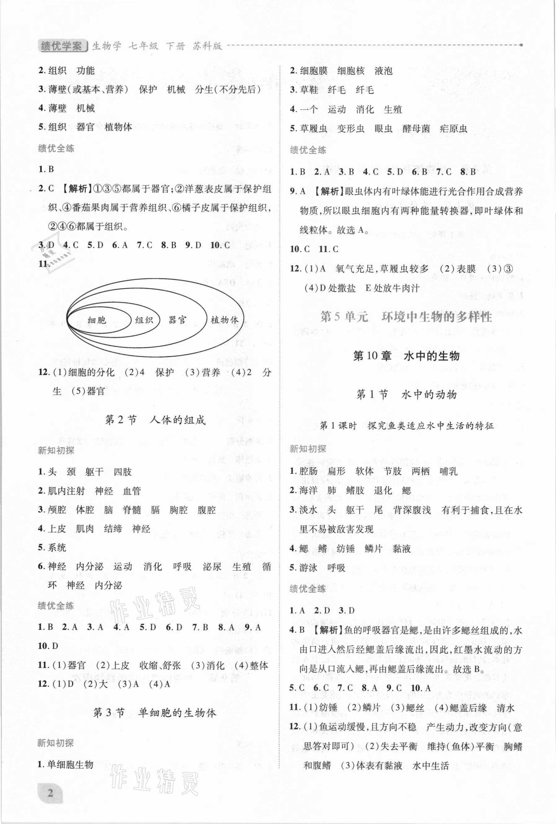 2021年绩优学案七年级生物学下册苏科版 第2页