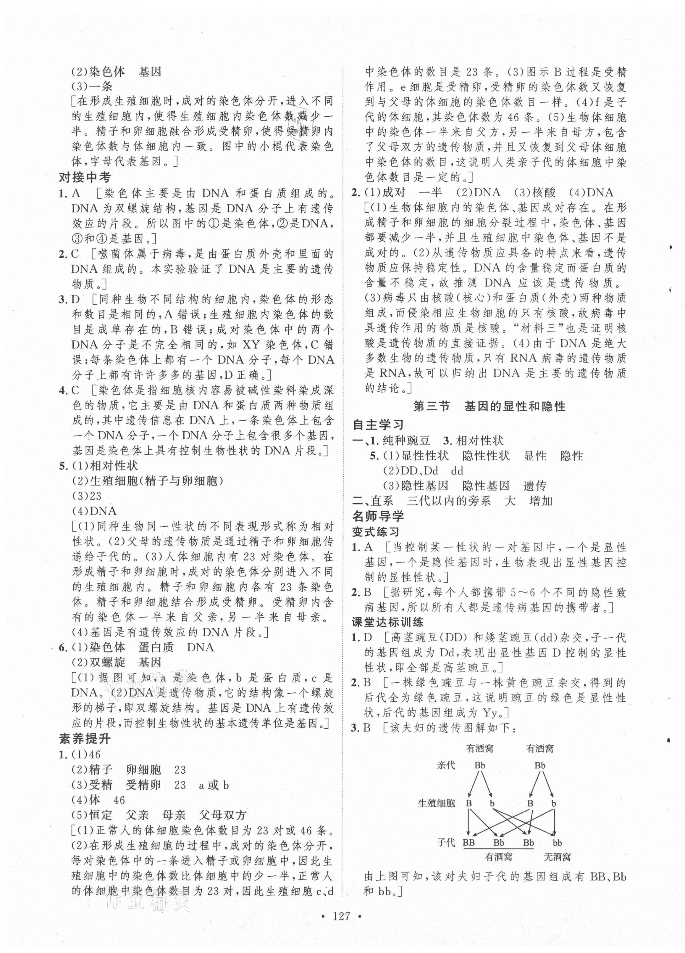 2021年實(shí)驗(yàn)教材新學(xué)案八年級生物下冊人教版 第7頁