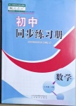 2021年同步練習冊八年級數(shù)學下冊人教版山東教育出版社