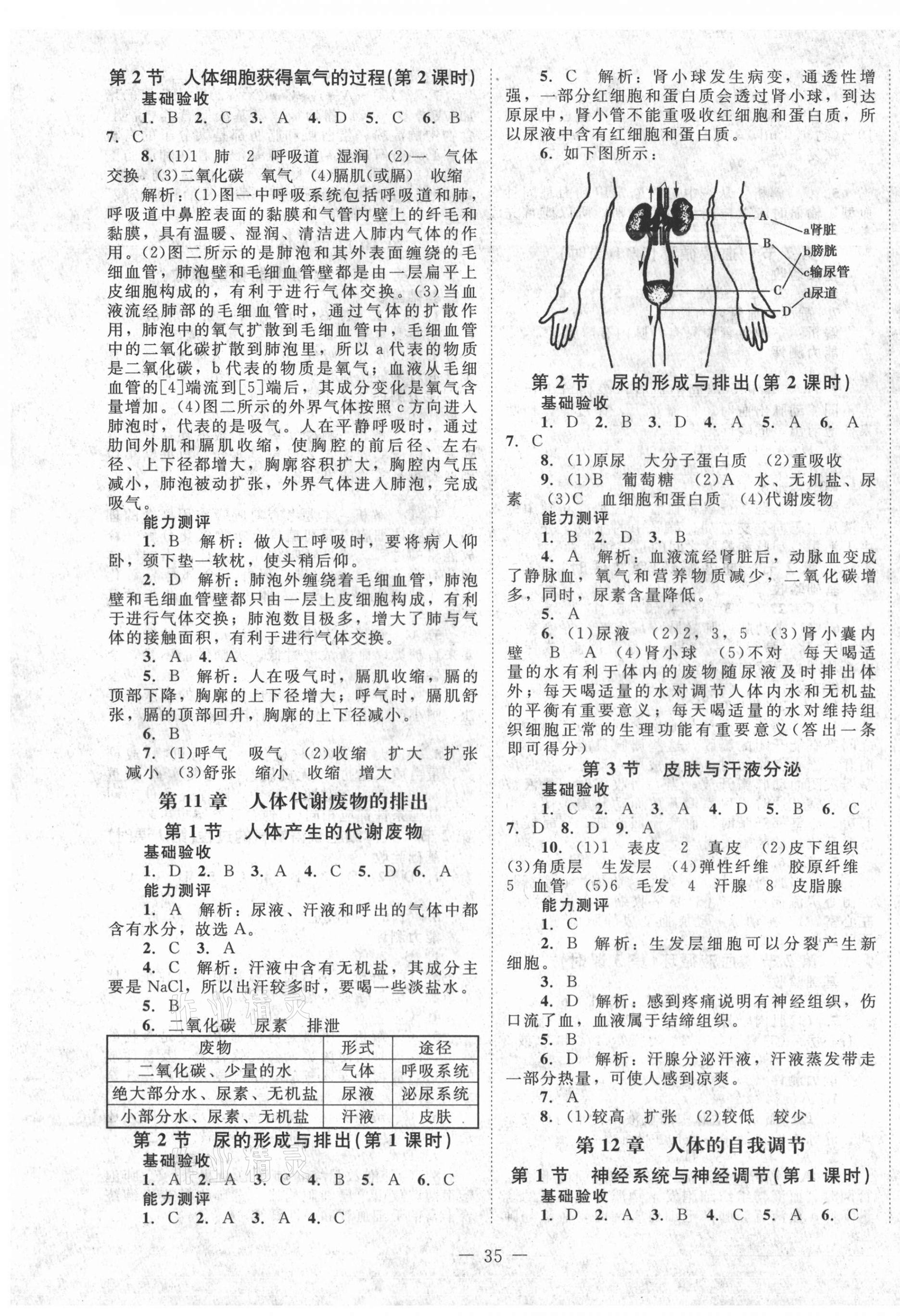 2021年課堂精練七年級(jí)生物下冊(cè)北師大版單色版 第3頁(yè)