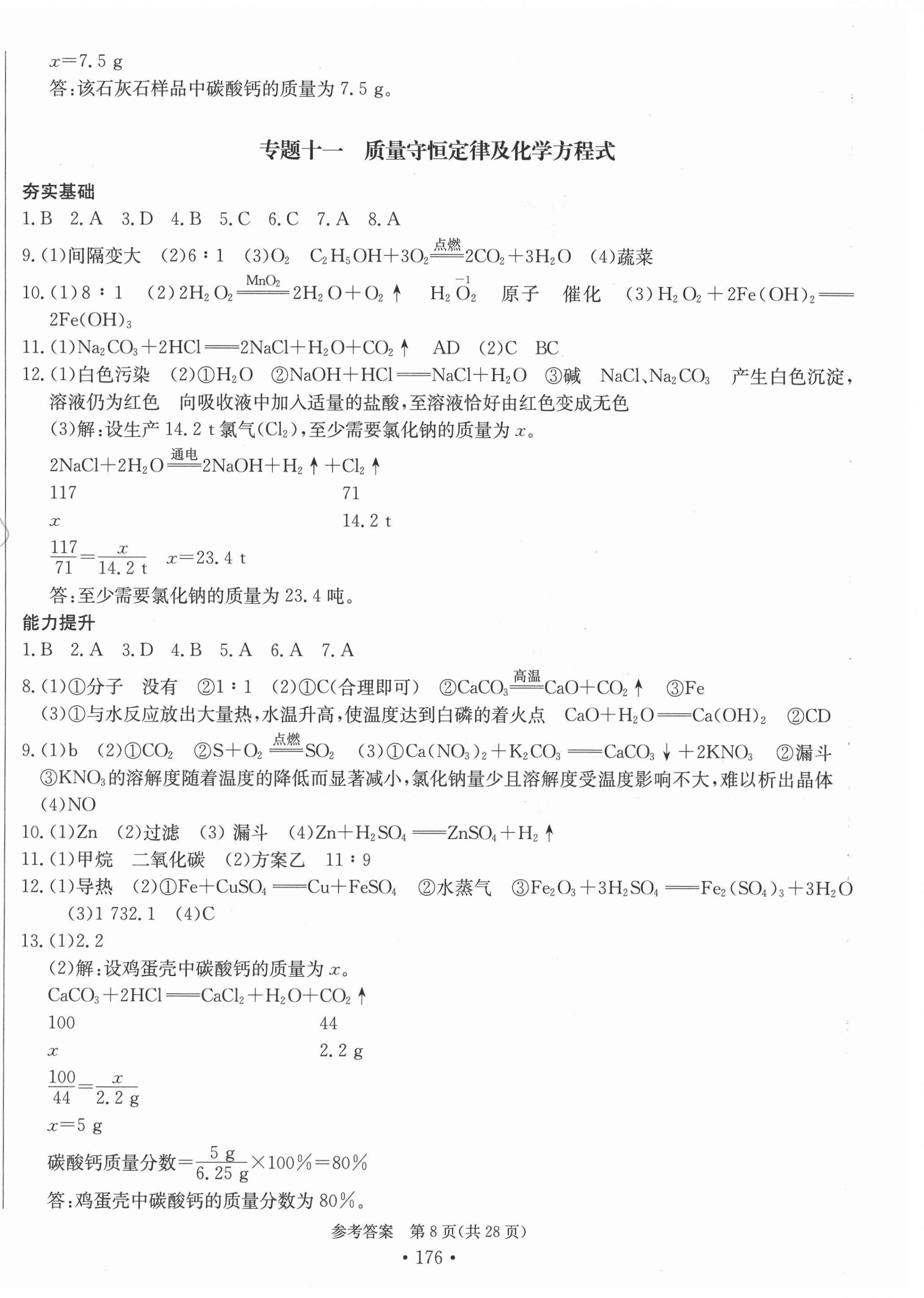 2021年中考档案化学B版青岛专版 第8页