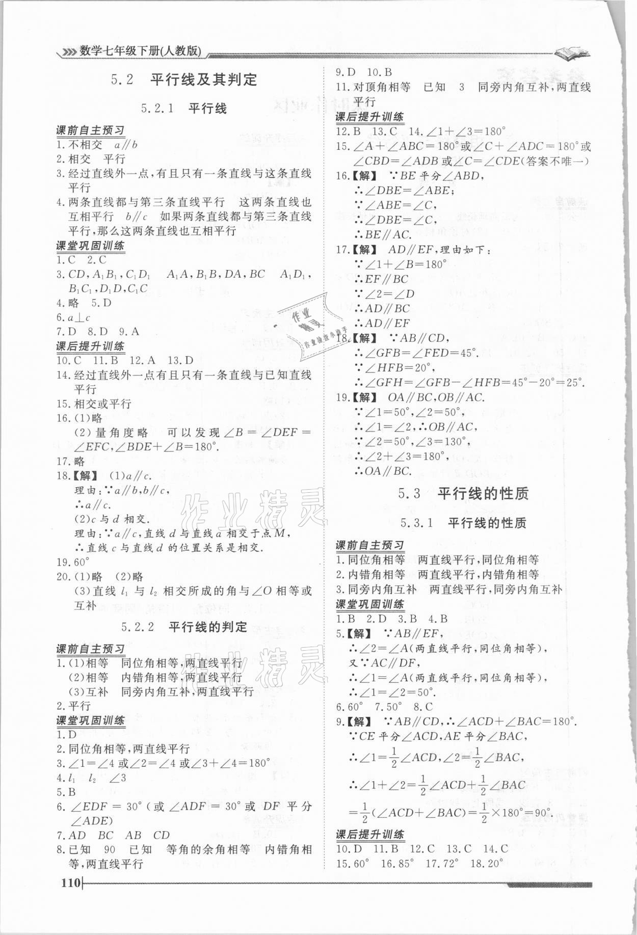 2021年標準課堂七年級數學下冊人教版 第2頁