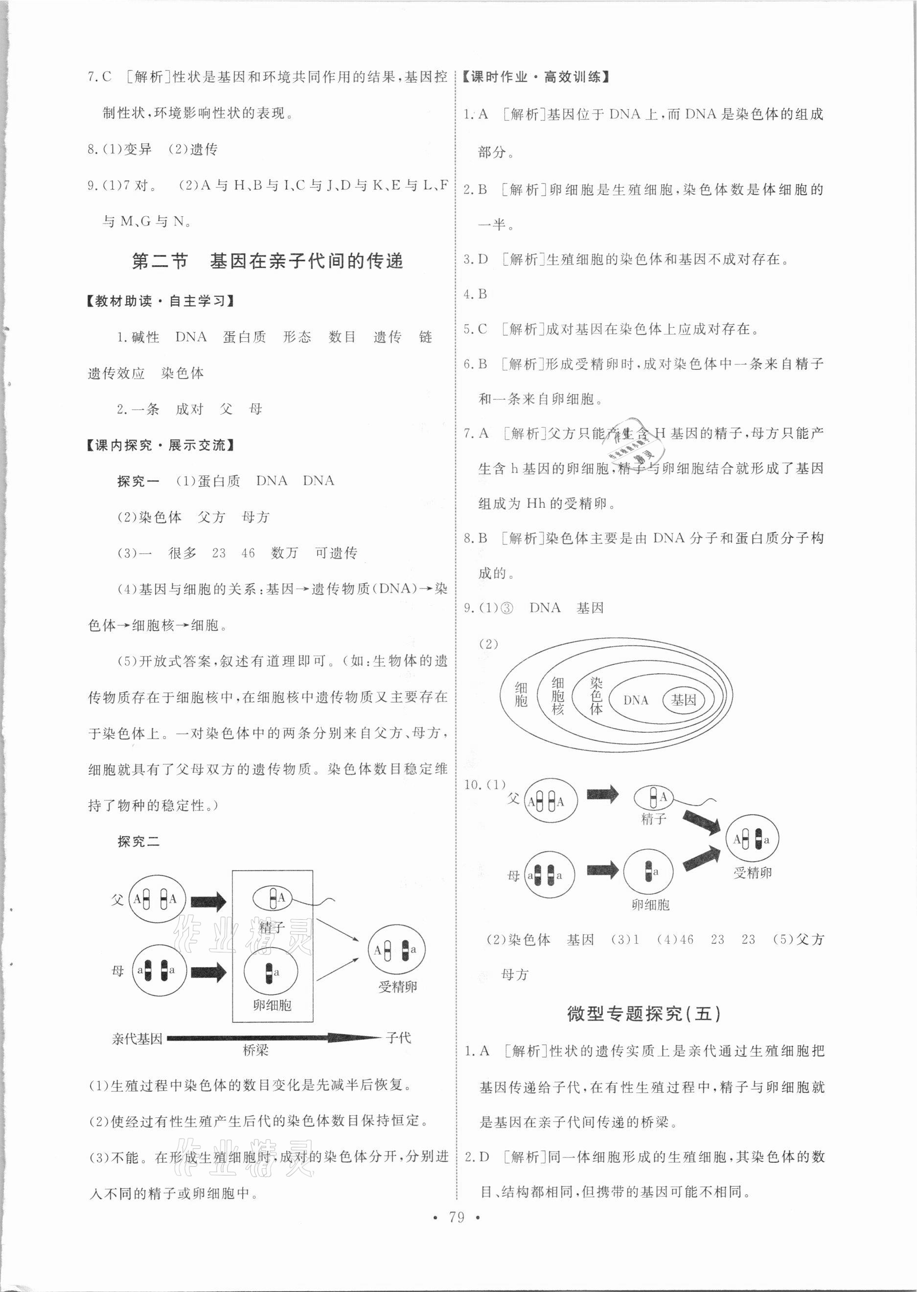 2021年能力培养与测试八年级生物下册人教版 第5页