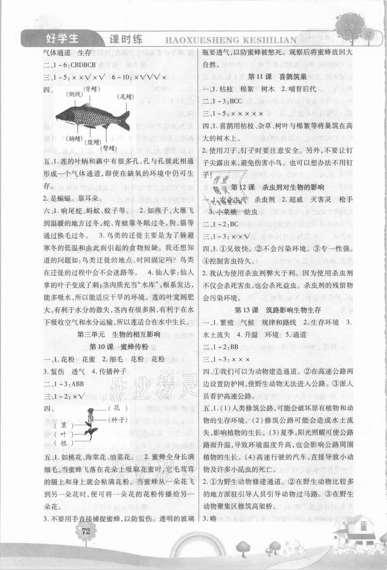 2021年好學生課時練三年級科學下冊冀人版 參考答案第3頁