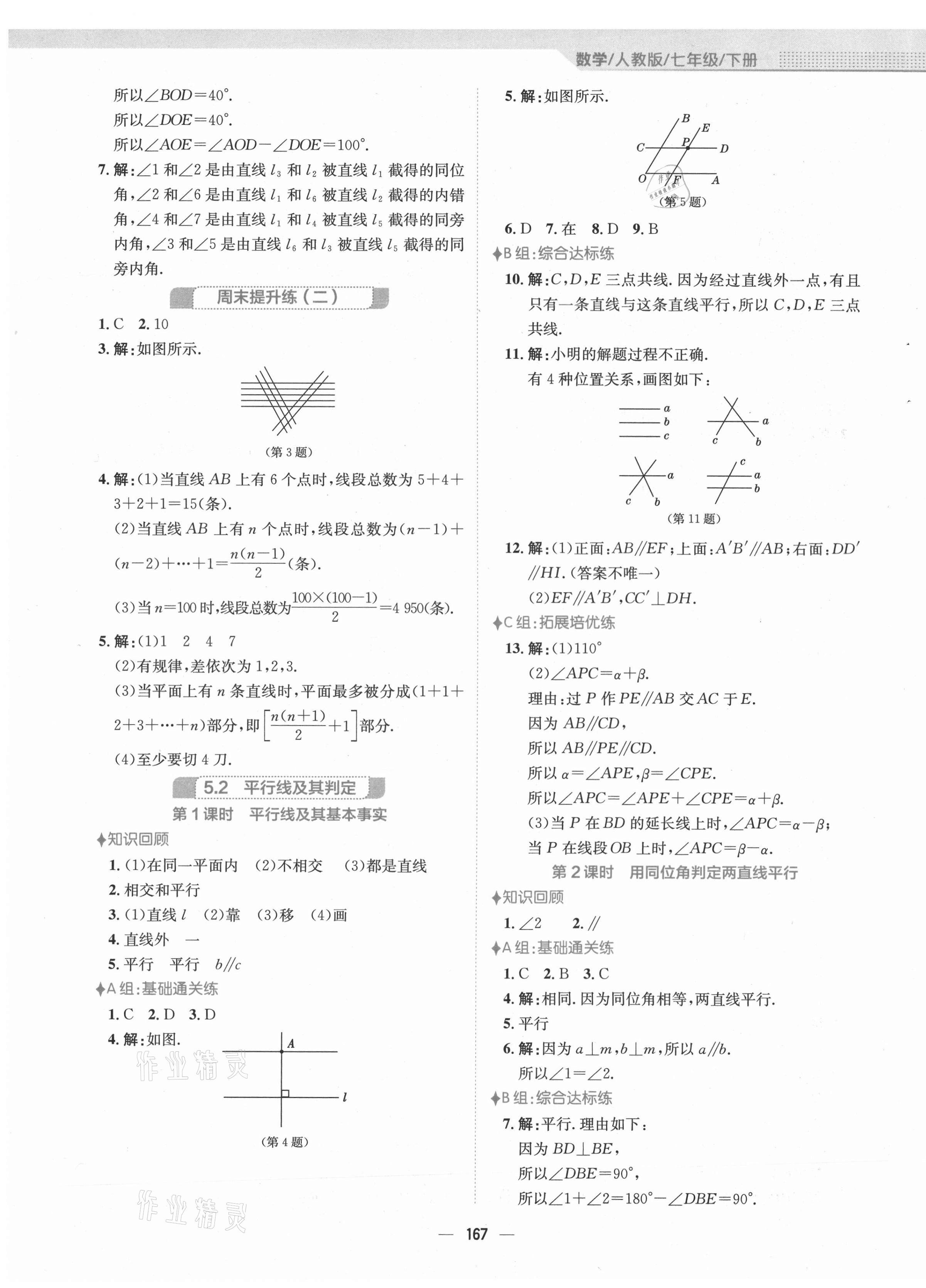 2021年新編基礎(chǔ)訓練七年級數(shù)學下冊人教版 第3頁