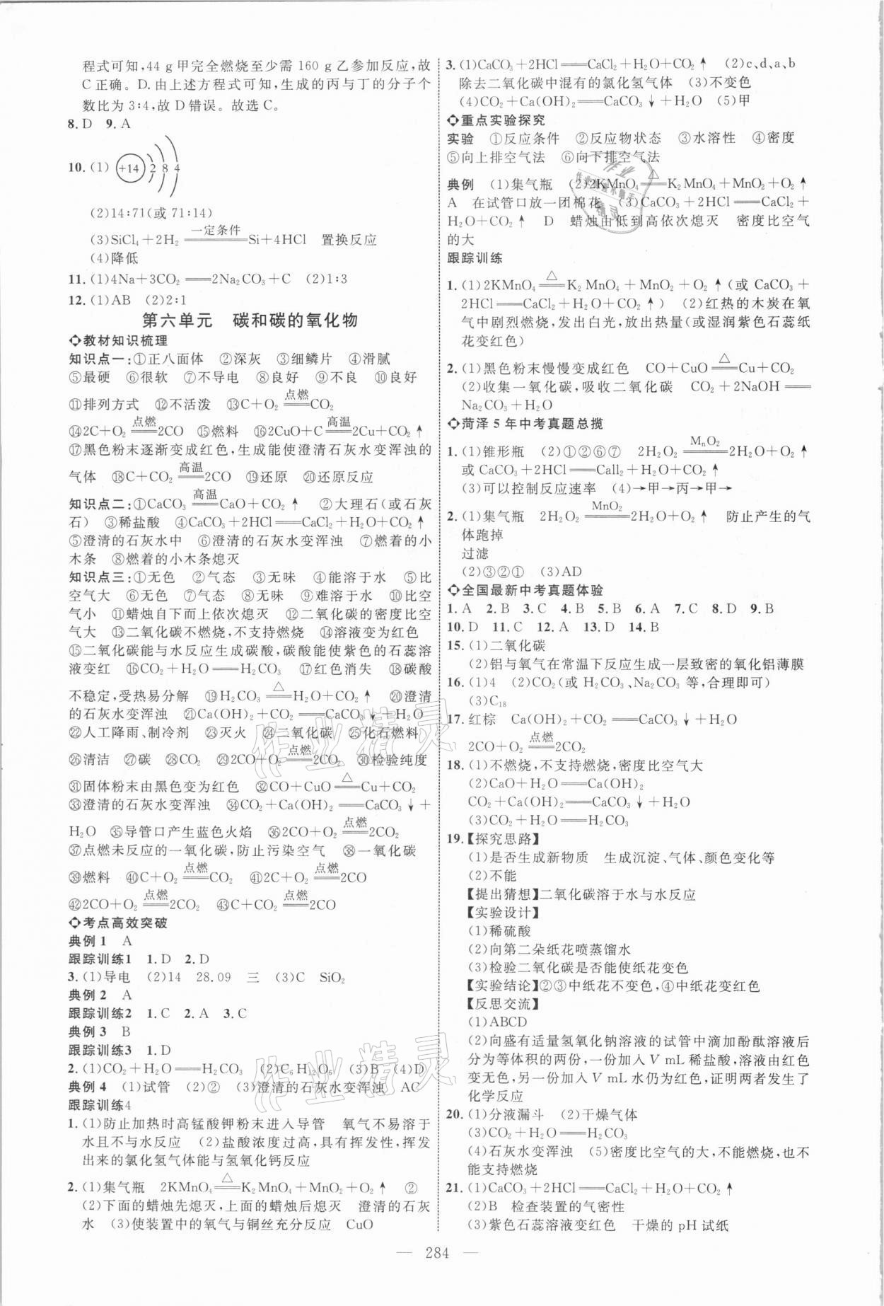 2021年全程导航初中总复习化学菏泽专版 参考答案第7页