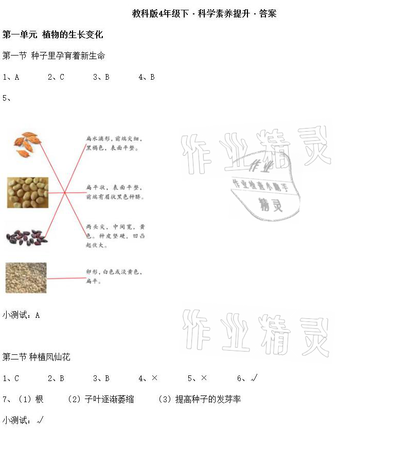 2021年科學(xué)素養(yǎng)提升四年級(jí)下冊(cè)教科版 參考答案第1頁(yè)