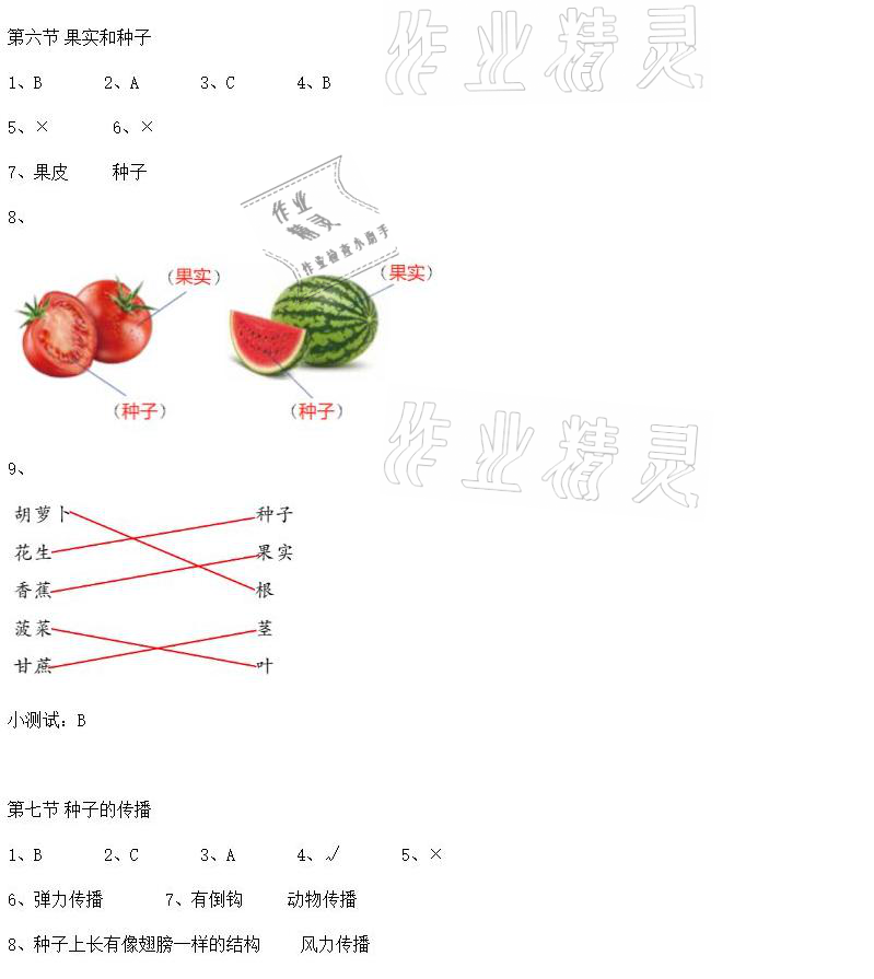 2021年科學(xué)素養(yǎng)提升四年級下冊教科版 參考答案第3頁