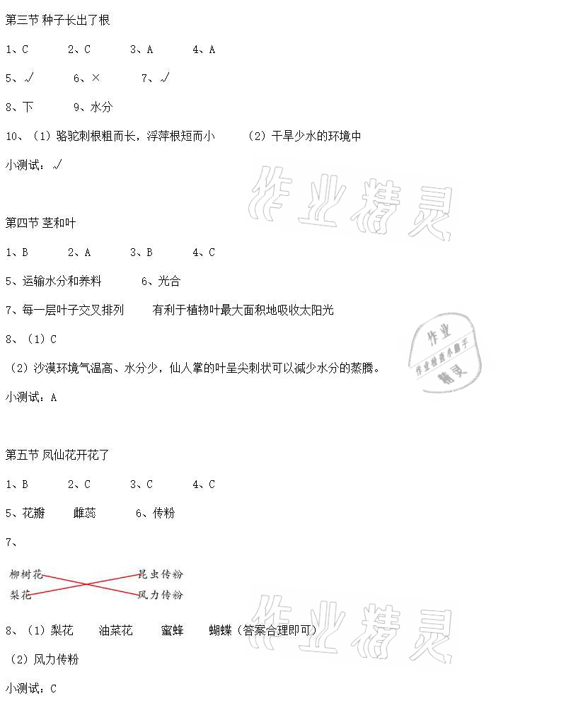 2021年科學(xué)素養(yǎng)提升四年級下冊教科版 參考答案第2頁