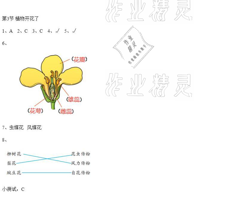 2021年科學(xué)素養(yǎng)提升三年級下冊蘇教版 參考答案第2頁