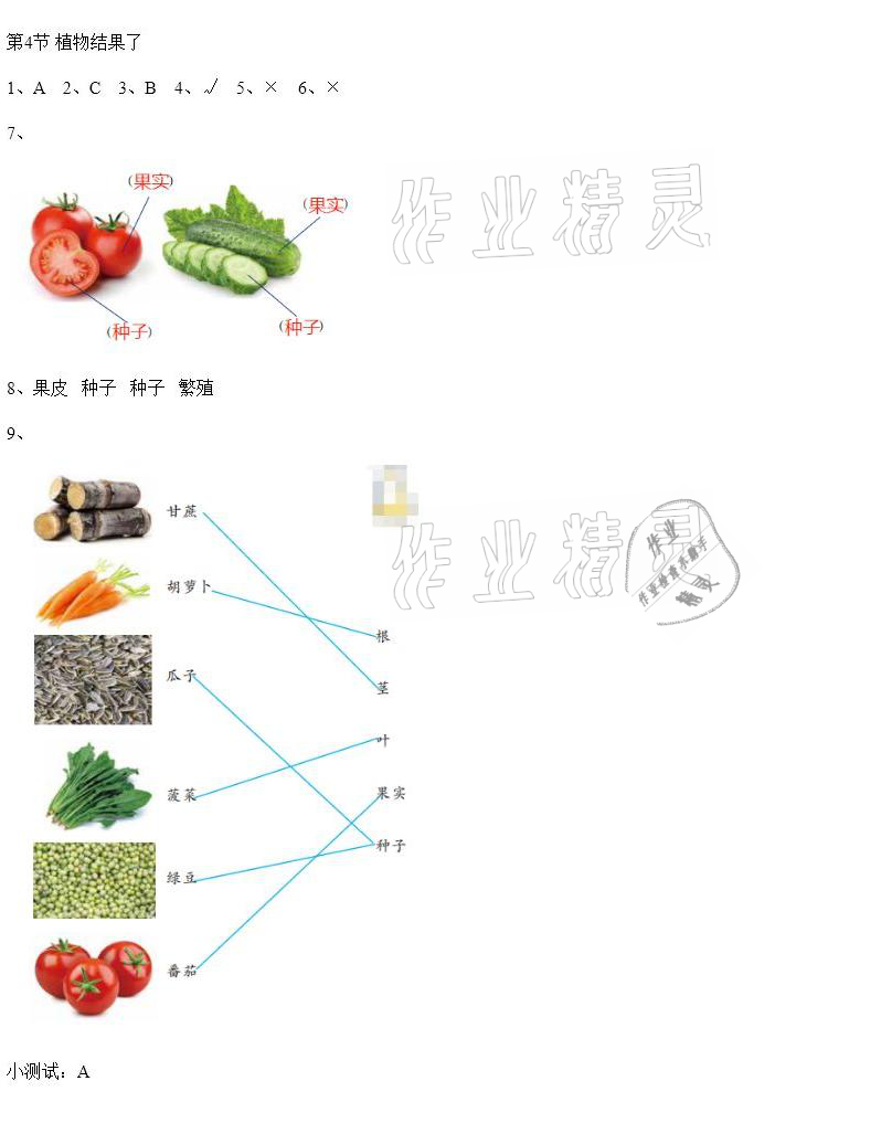 2021年科學素養(yǎng)提升三年級下冊蘇教版 參考答案第3頁