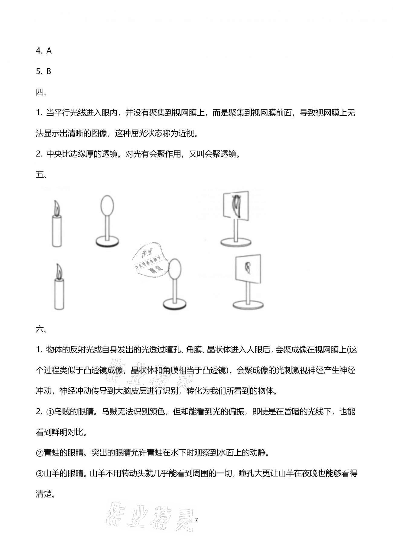 2021年學(xué)習(xí)指導(dǎo)與訓(xùn)練提優(yōu)測(cè)試五年級(jí)科學(xué)下冊(cè)青島版 第7頁(yè)