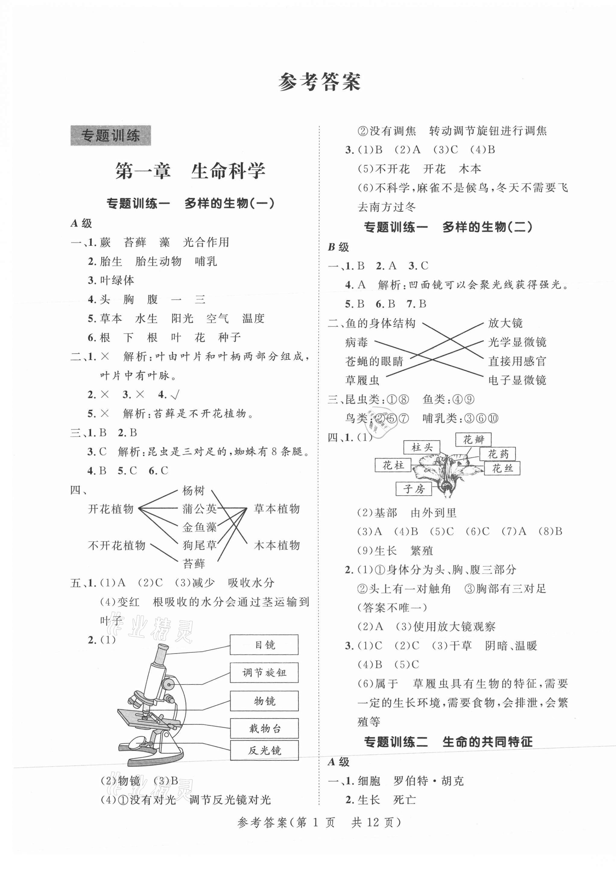 2021年新領(lǐng)程小學(xué)總復(fù)習(xí)高效練案科學(xué) 參考答案第1頁(yè)