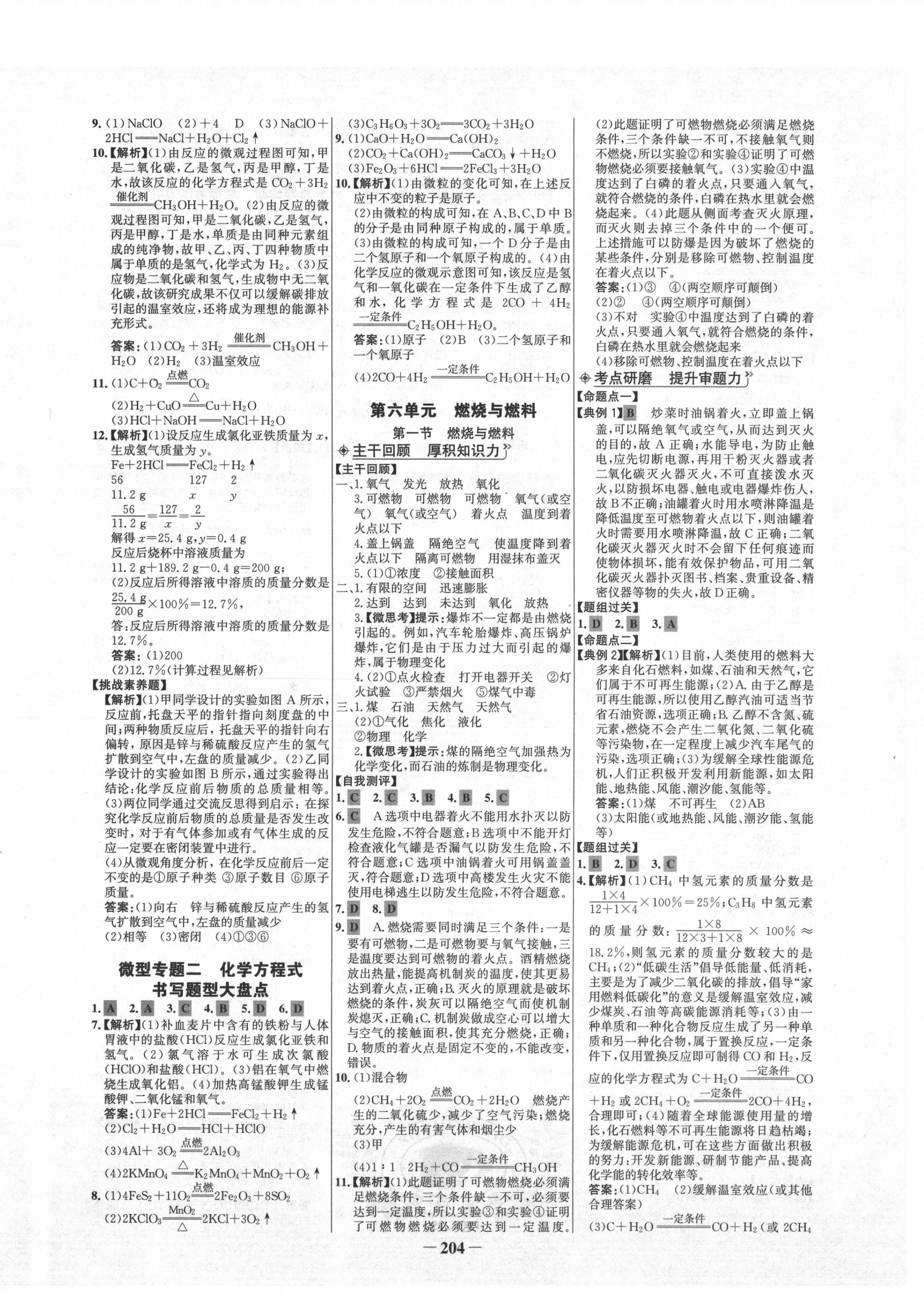 2021年世紀金榜初中全程復習方略化學魯教版 第8頁