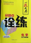 2021年一戰(zhàn)成名命題點(diǎn)詮練化學(xué)