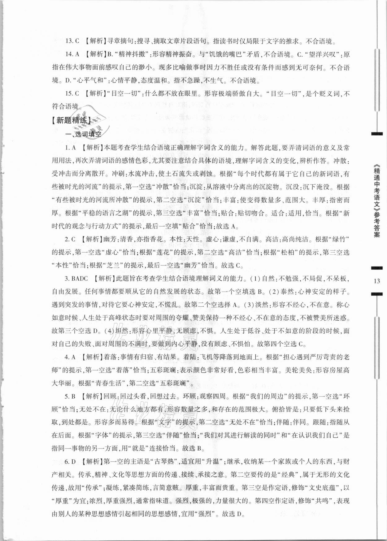 2021年精通中考語文基礎(chǔ)知識與試卷訓(xùn)練 參考答案第13頁