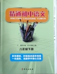 2021年精通初中語文八年級下冊人教版