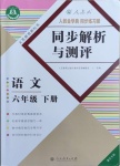 2021年人教金學(xué)典同步解析與測評(píng)六年級(jí)語文下冊(cè)人教版重慶專版