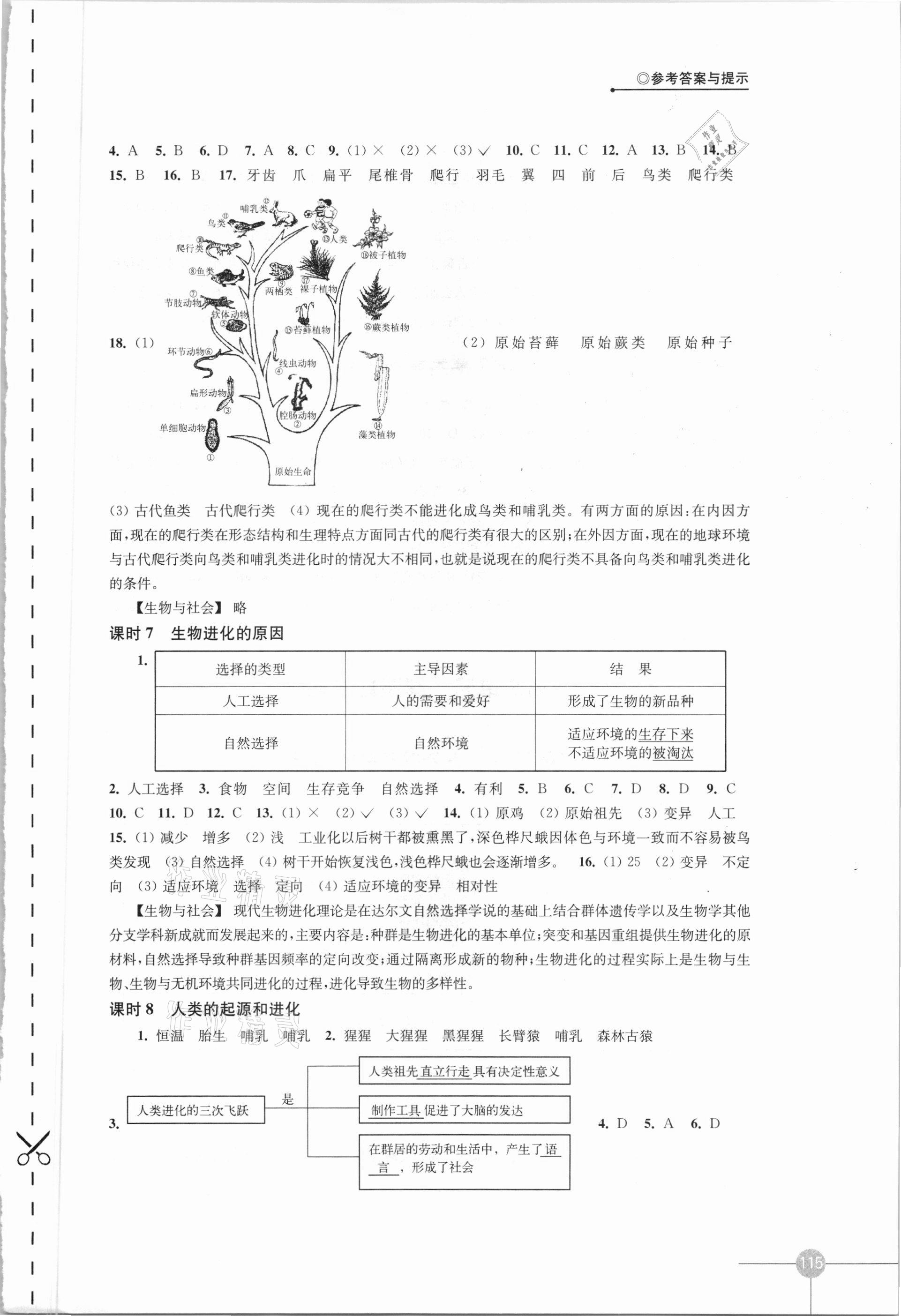 2021年課課練八年級生物下冊蘇科版 第3頁