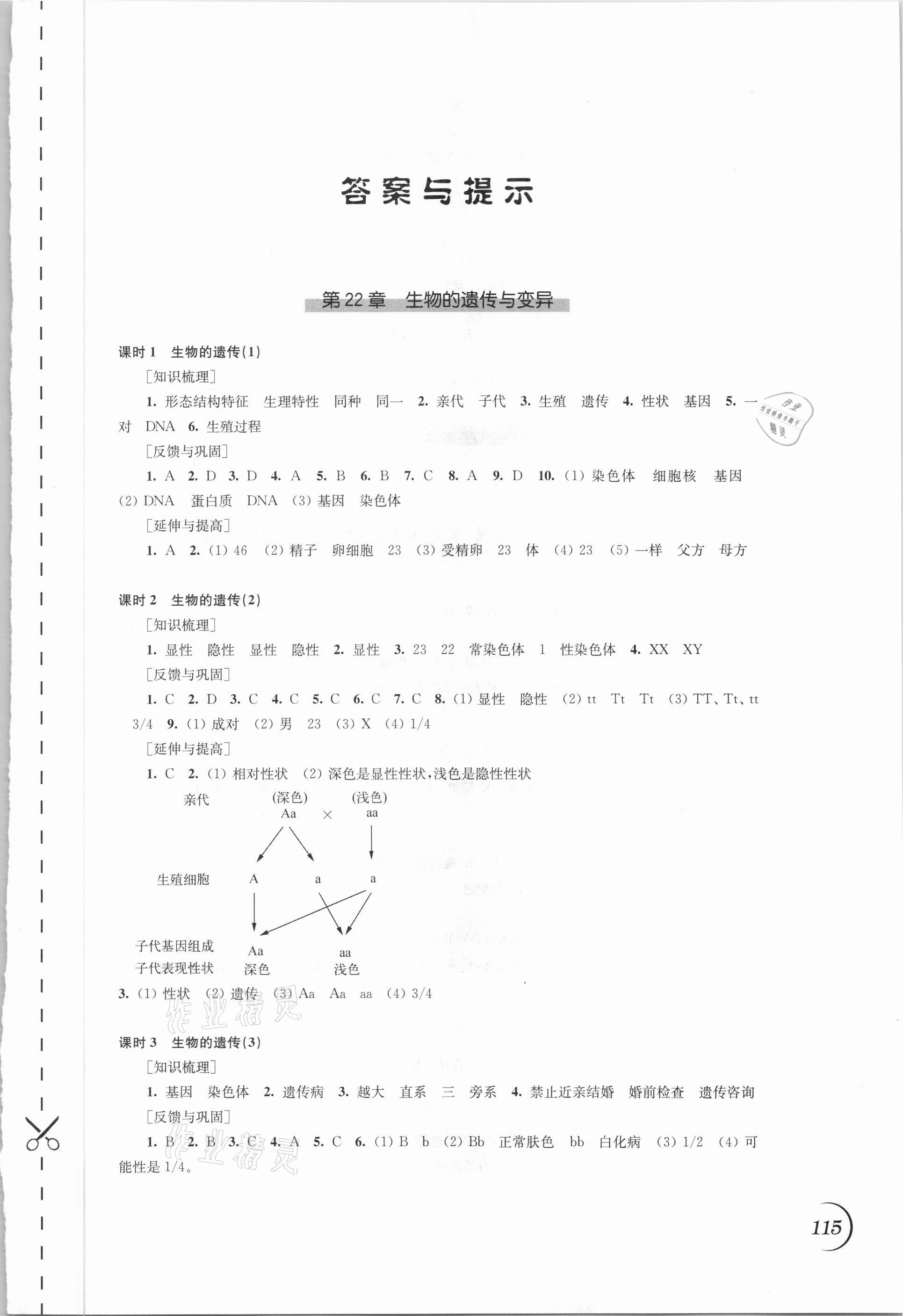 2021年同步练习江苏八年级生物下册苏科版 第1页