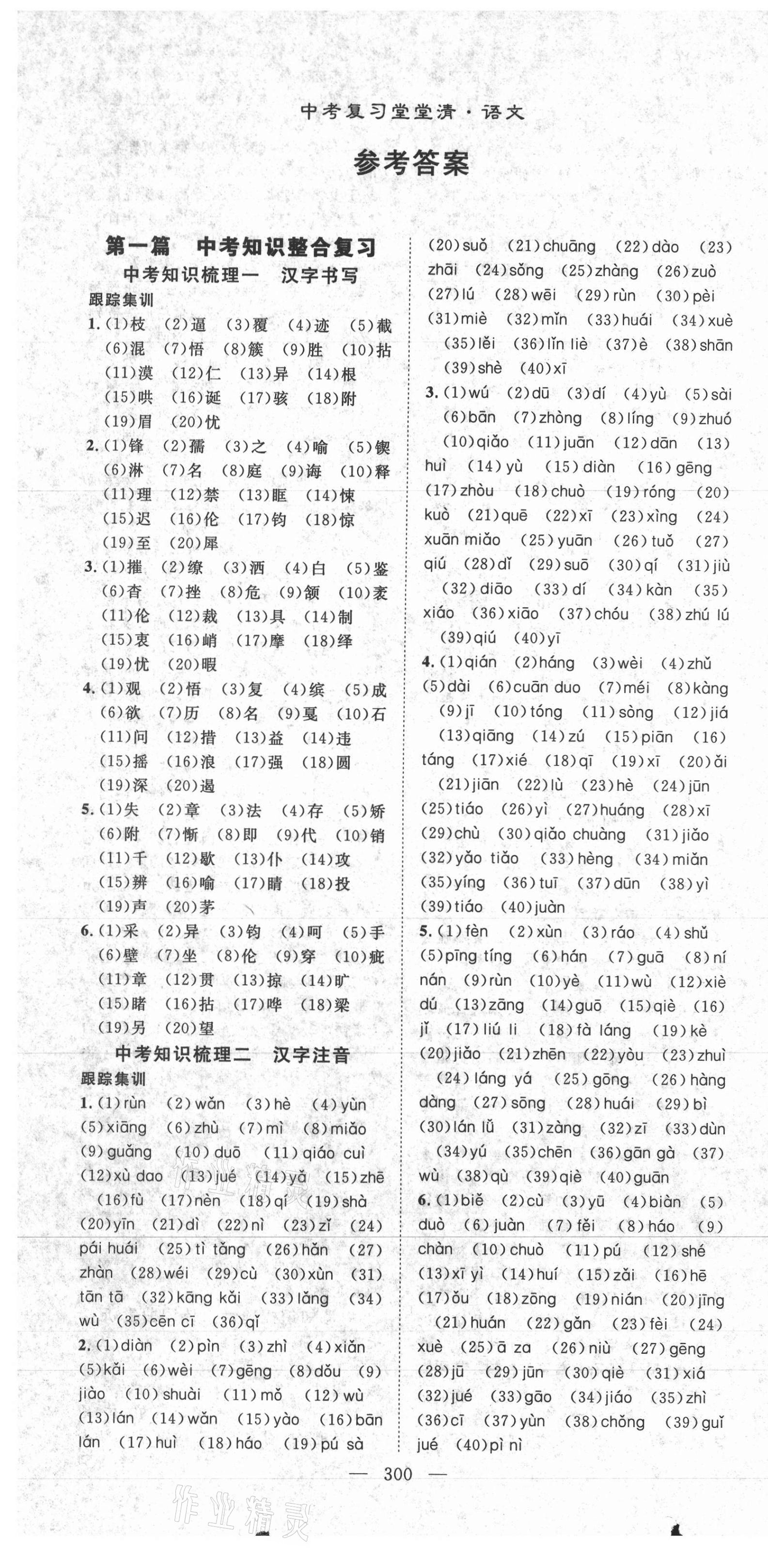 2021年名師學(xué)案中考復(fù)習(xí)堂堂清語(yǔ)文咸寧專(zhuān)版 第1頁(yè)