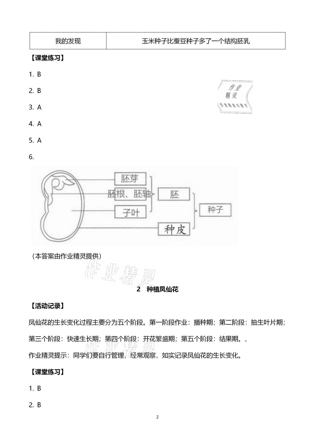 2021年科學(xué)作業(yè)本四年級下冊教科版浙江教育出版社 第2頁