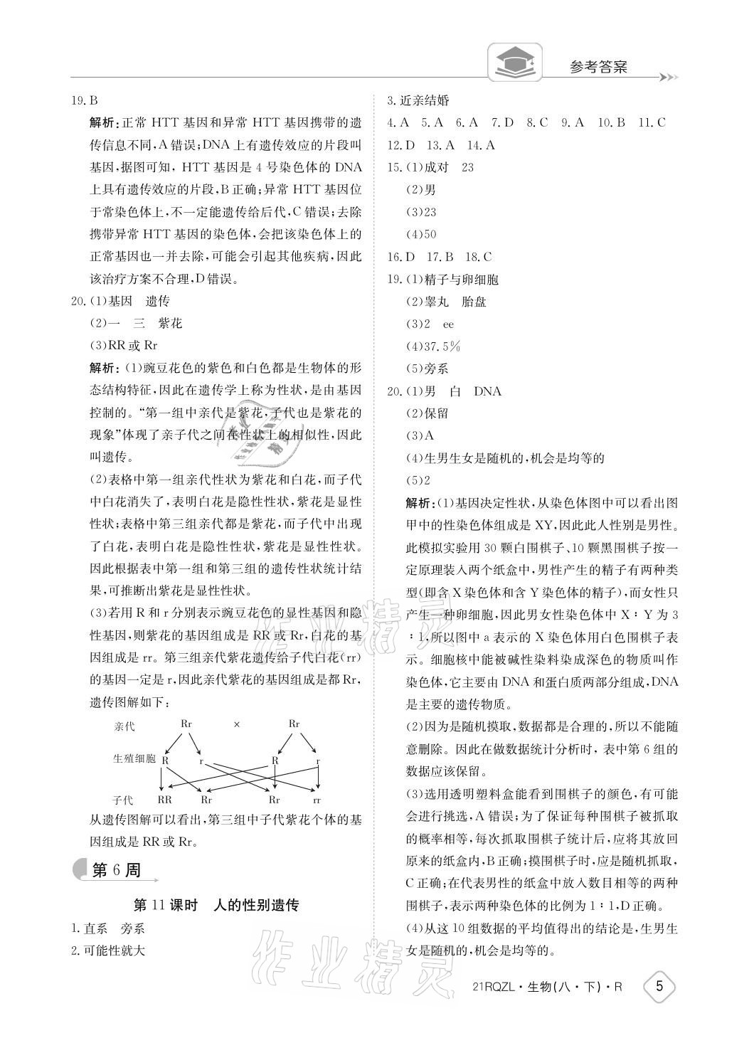 2021年日清周練八年級生物下冊人教版 參考答案第5頁