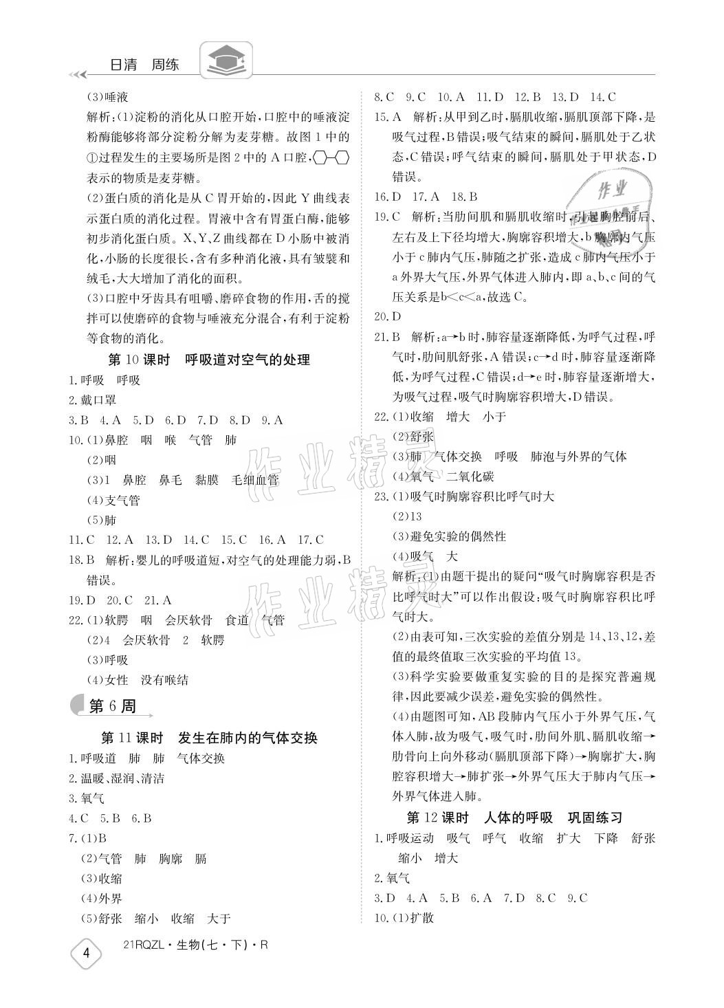 2021年日清周練七年級(jí)生物下冊(cè)人教版 參考答案第4頁(yè)