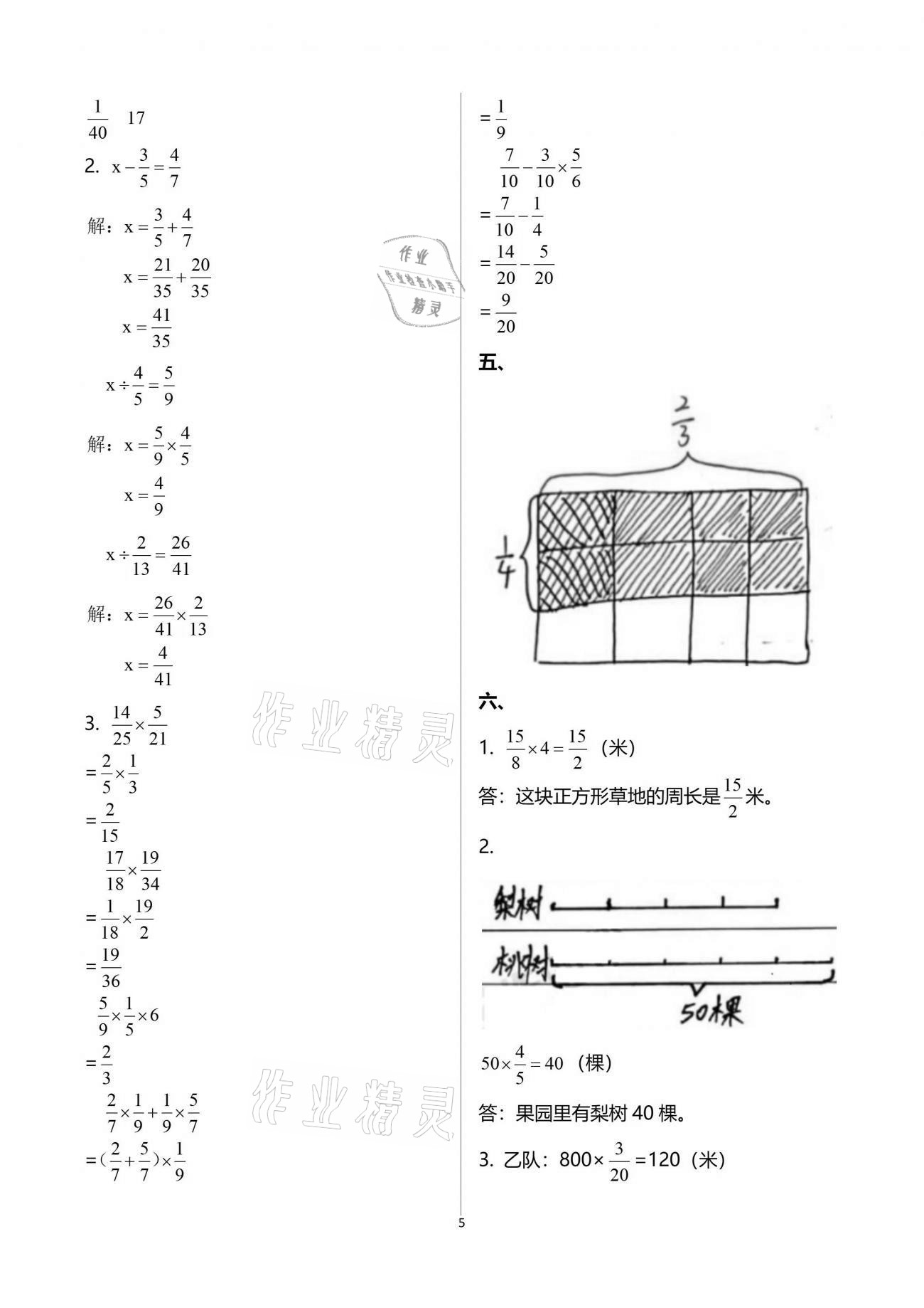 2021年每课一练五年级数学下册北师大版丽水专版浙江少年儿童出版社 参考答案第5页