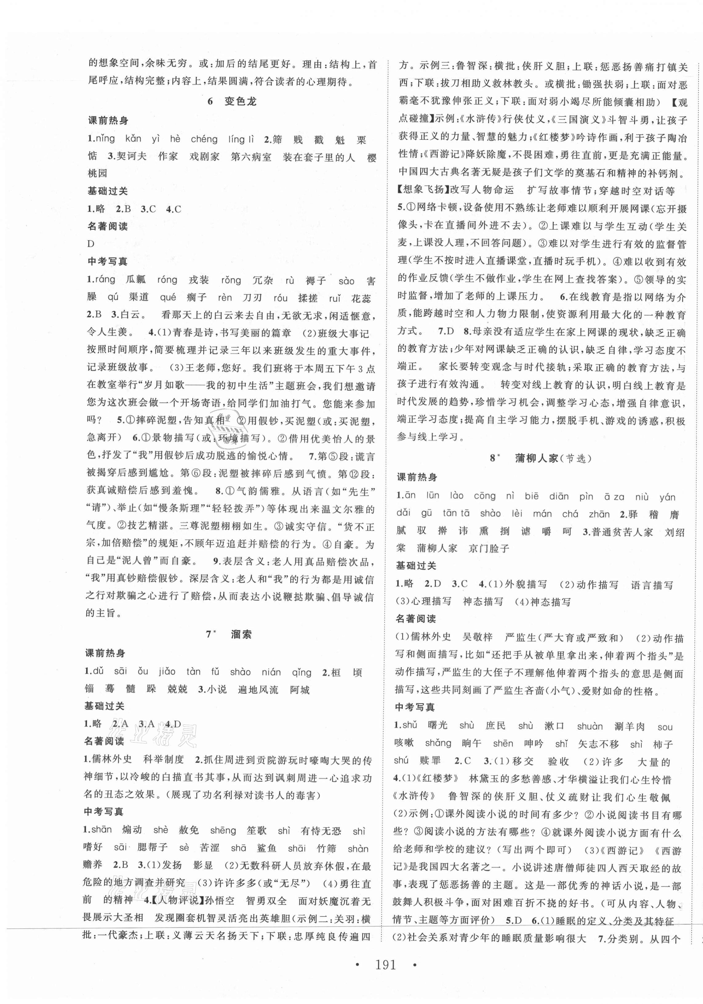 2021年名師課時(shí)計(jì)劃九年級語文下冊人教版 第3頁