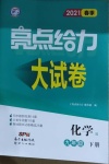 2021年亮點給力大試卷九年級化學(xué)下冊人教版