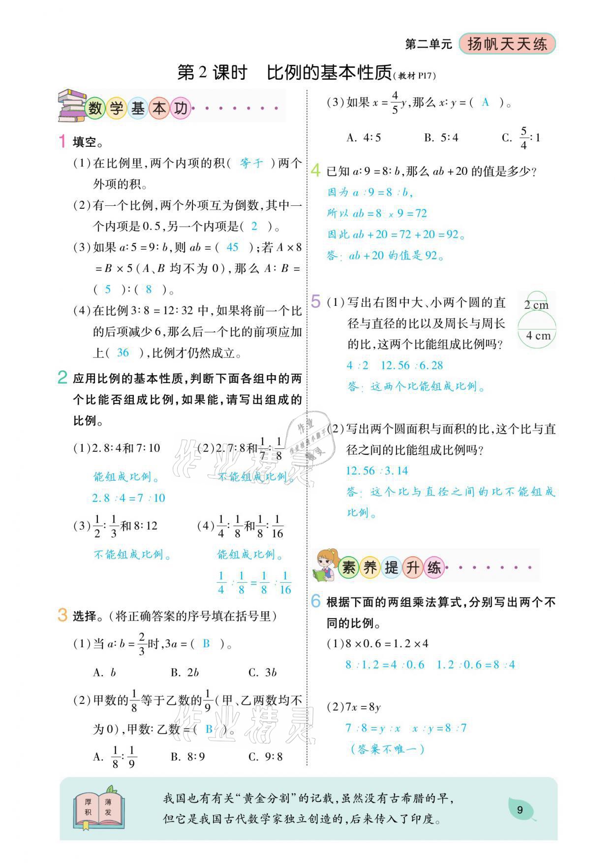 2021年揚帆天天練六年級數學下冊北師大版 參考答案第25頁