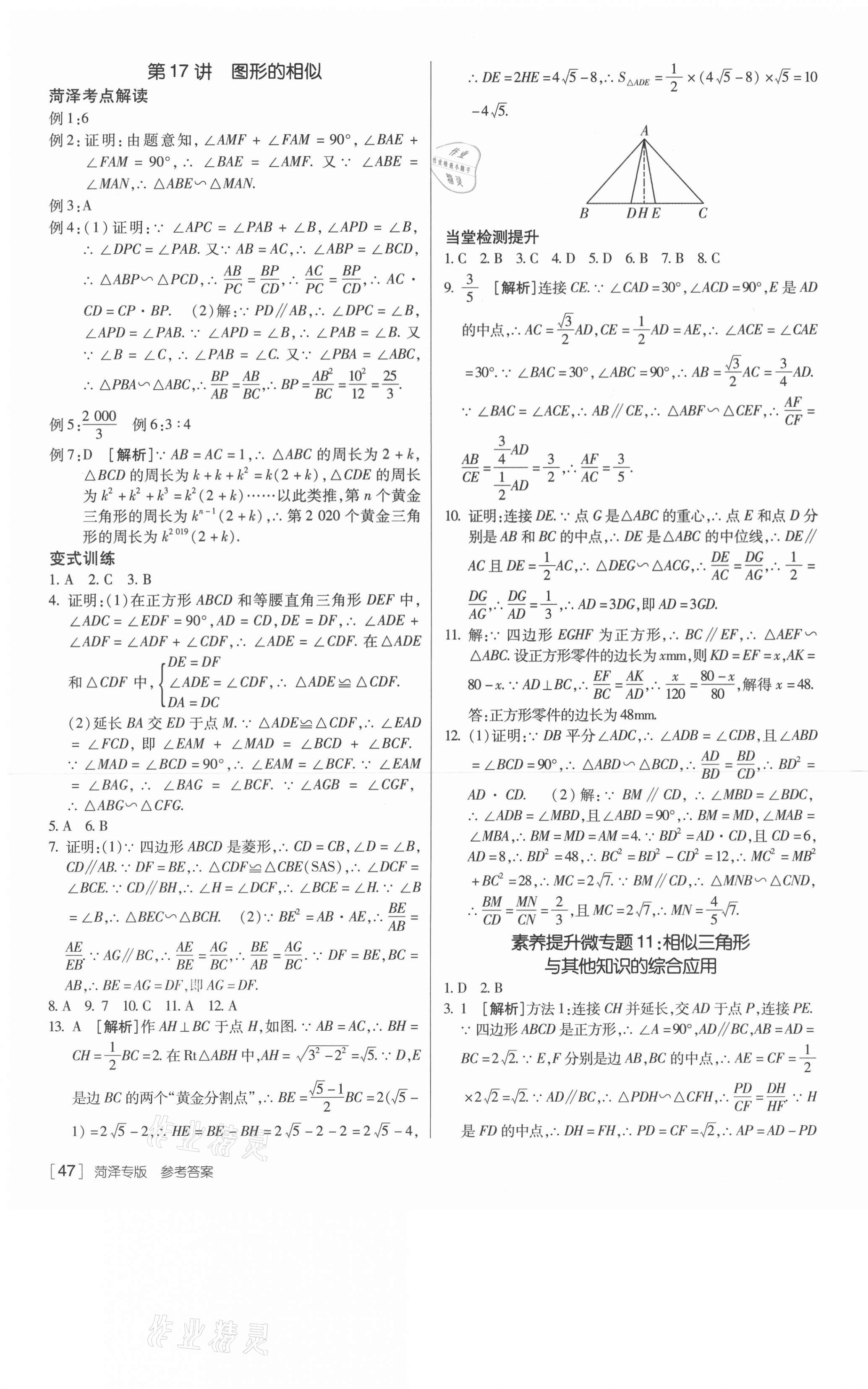 2021年升学锦囊数学菏泽专版 第15页