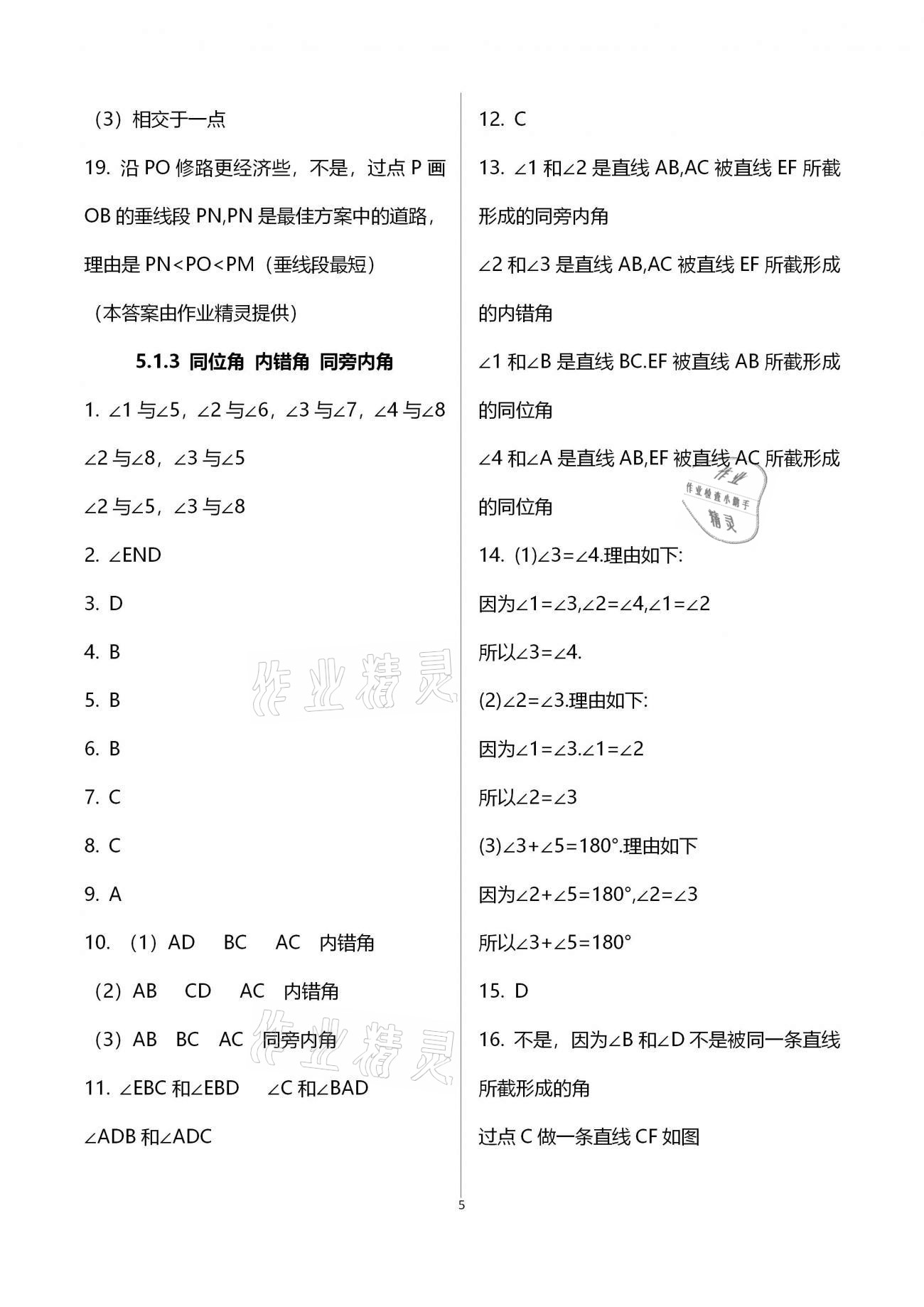 2021年基础训练七年级数学下册人教版大象出版社 参考答案第9页