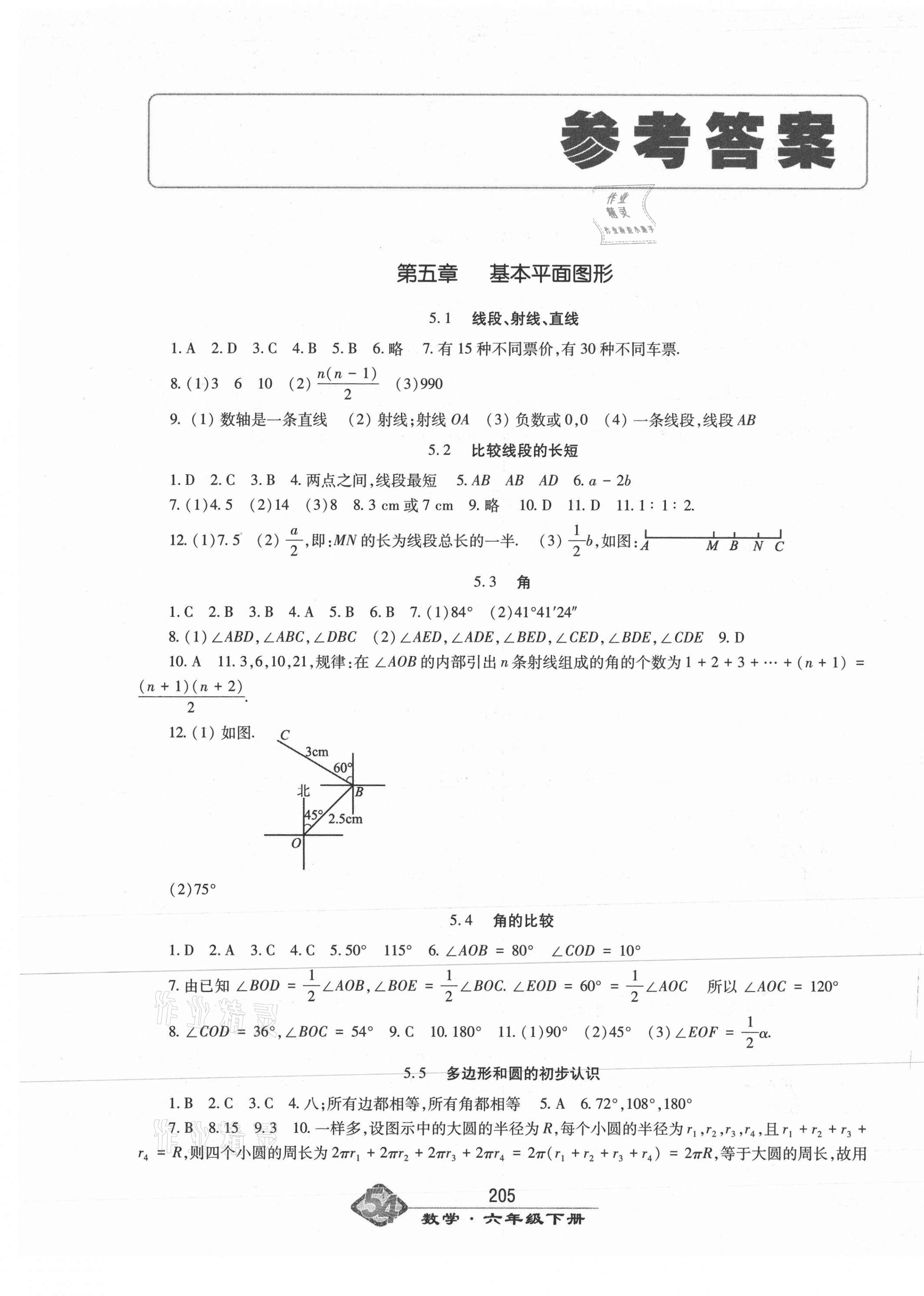 2021年智慧學(xué)習(xí)六年級數(shù)學(xué)下冊魯教版54制明天出版社 第1頁