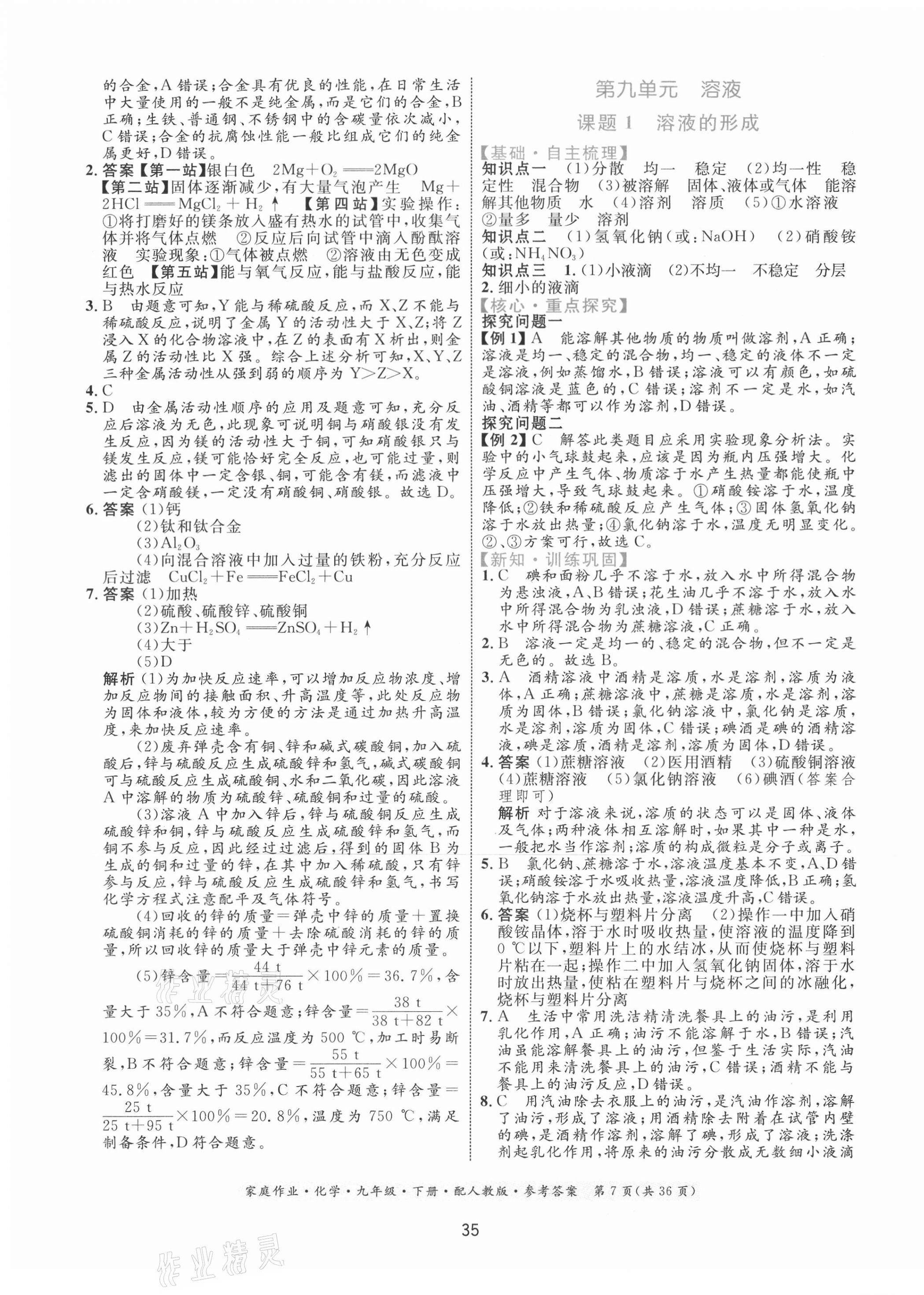 2021年家庭作業(yè)九年級化學(xué)下冊人教版 第7頁