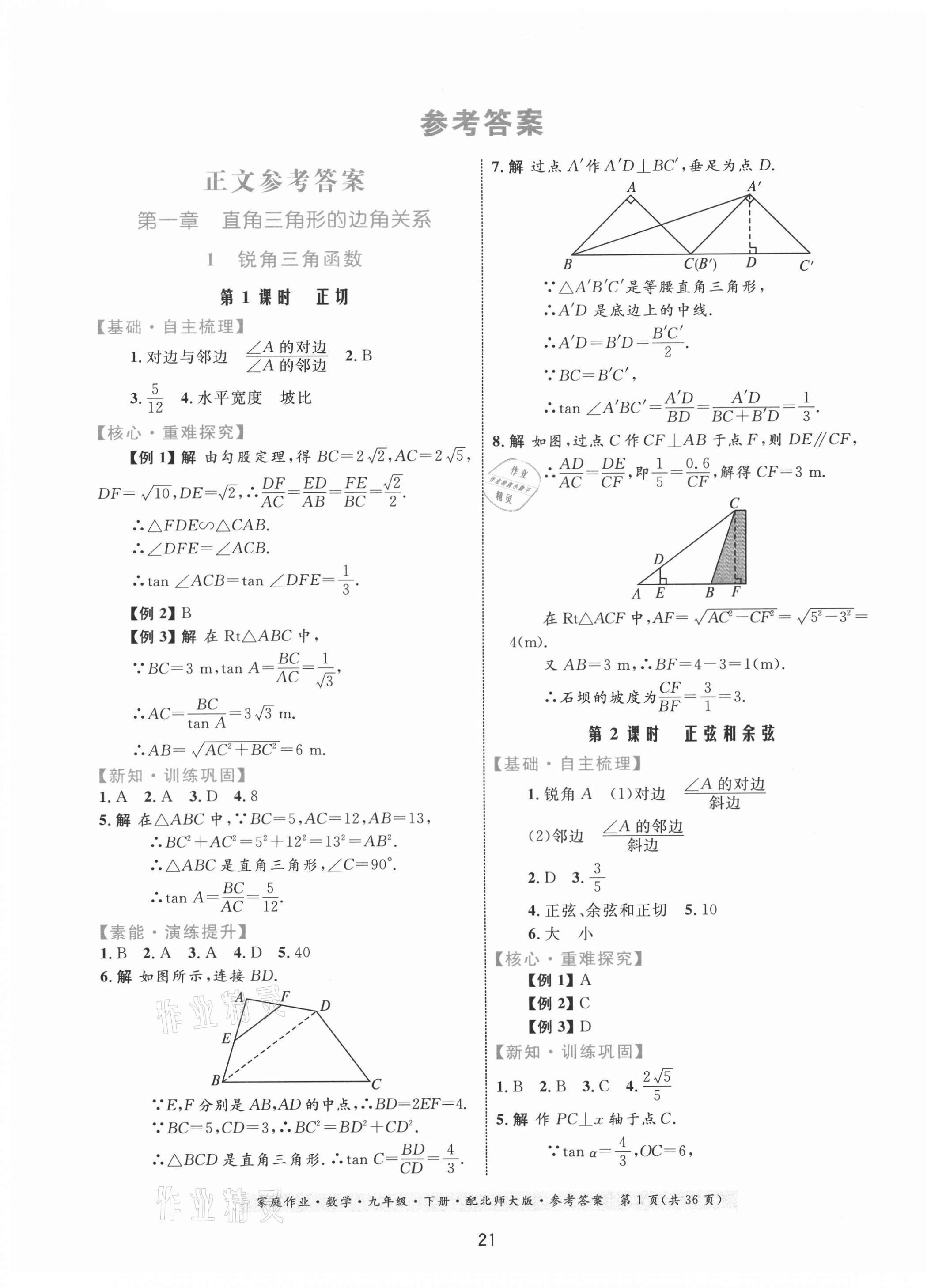 2021年家庭作業(yè)九年級數(shù)學(xué)下冊北師大版 第1頁