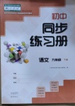 2021年同步練習(xí)冊九年級語文下冊人教版大象出版社