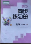 2021年同步練習(xí)冊九年級化學(xué)下冊人教版大象出版社