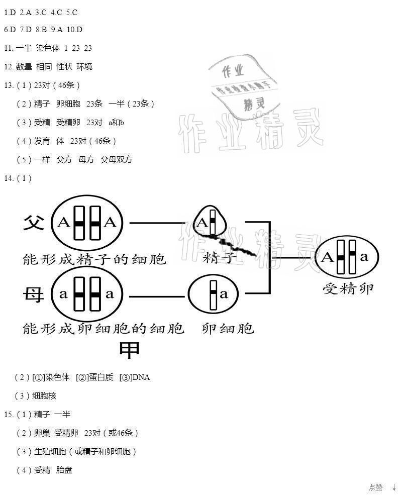 2021年知识与能力训练八年级生物学下册人教版 参考答案第6页