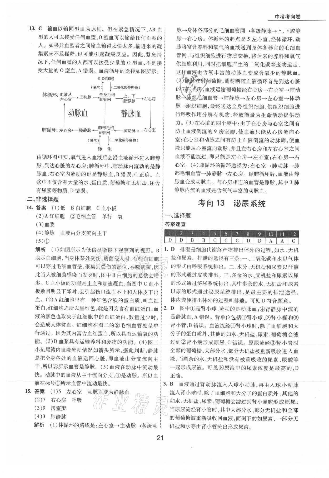 2021年5年中考試卷生物包頭專版 參考答案第21頁